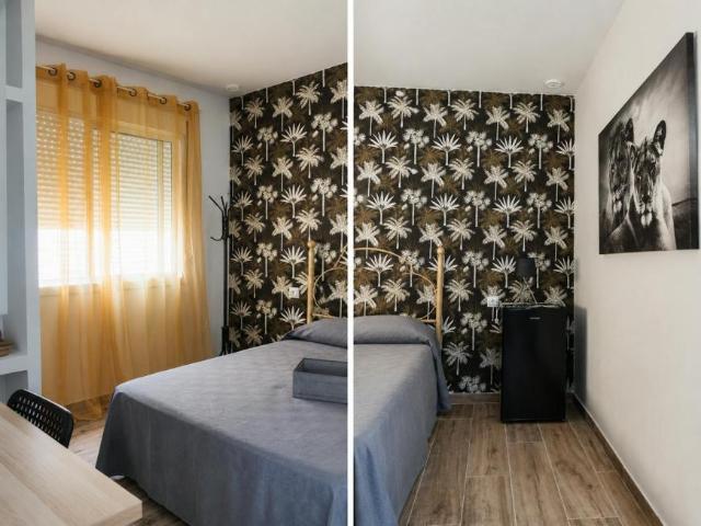 Alquiler 1 Dormitorio Shared Living/Roommate Cadiz Cadiz DLS103119678