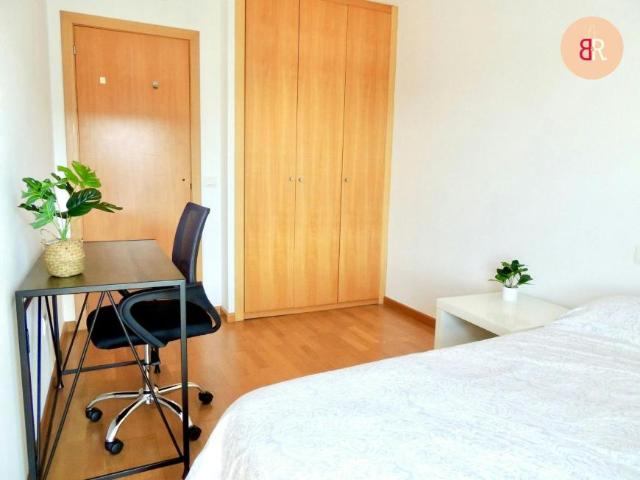 Alquiler 1 Dormitorio Shared Living/Roommate Castelló De La Plana Castelló De La Plana DS95656999