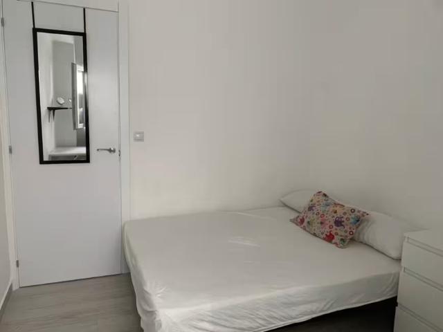 Alquiler 1 Dormitorio Shared Living/Roommate Castelló De La Plana Castelló De La Plana DS95920675