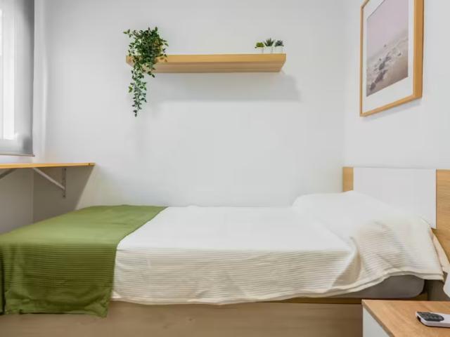 Alquiler 1 Dormitorio Shared Living/Roommate Castelló De La Plana Castelló De La Plana DS95922679