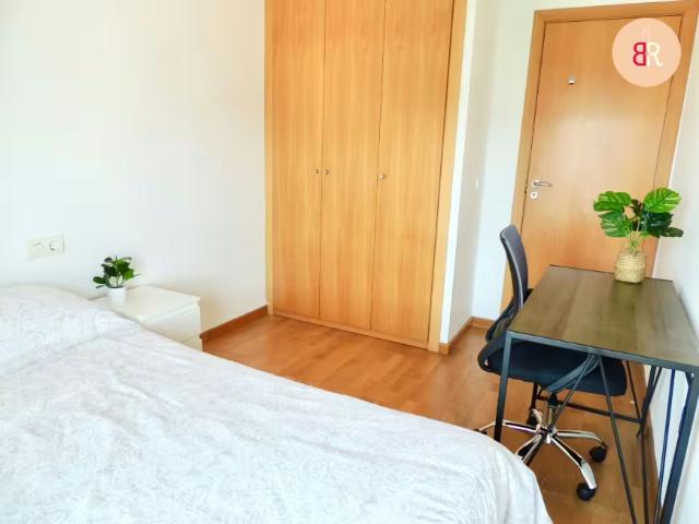Alquiler 1 Dormitorio Shared Living/Roommate Castelló De La Plana Castelló De La Plana DS97161762