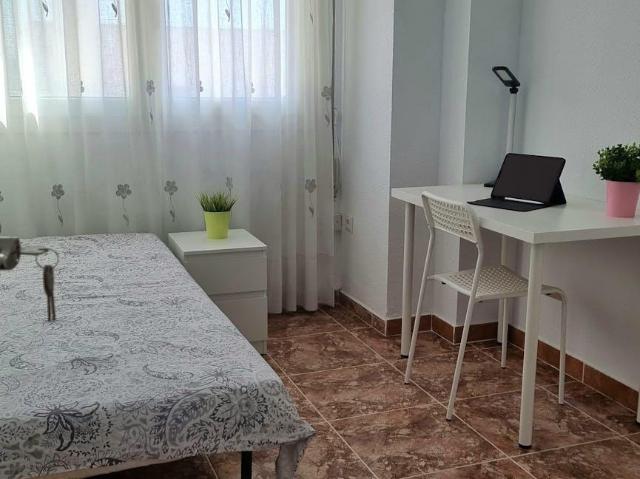 Alquiler 1 Dormitorio Shared Living/Roommate Cartagena Cartagena DS100722357
