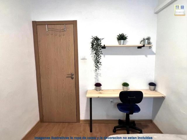 Alquiler 1 Dormitorio Shared Living/Roommate Cartagena Cartagena DS100727025