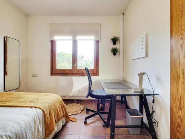 Alquiler 1 Dormitorio Shared Living/Roommate Cerdanyola Del Vallès Cerdanyola Del Vallès DS101843840