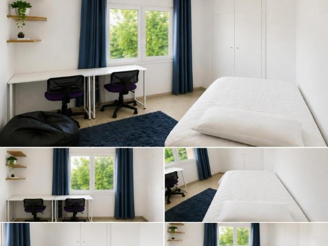 Alquiler 1 Dormitorio Shared Living/Roommate Cornellà De Llobregat Cornellà De Llobregat DS104682244