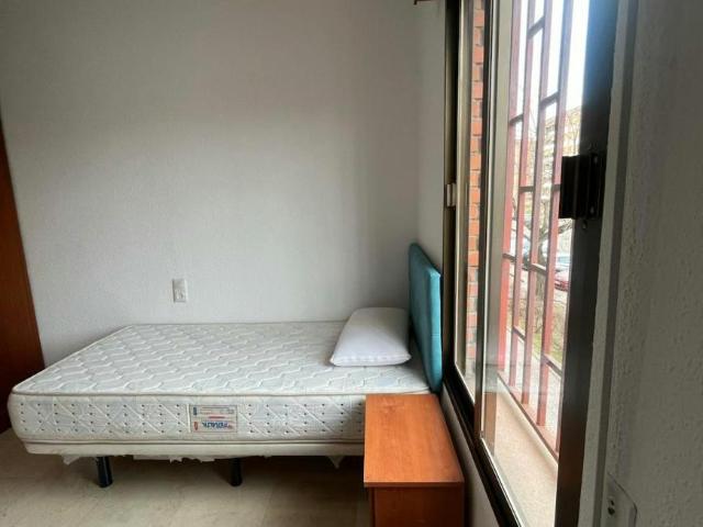 Alquiler 1 Dormitorio Shared Living/Roommate Córdoba Córdoba DLS92901521