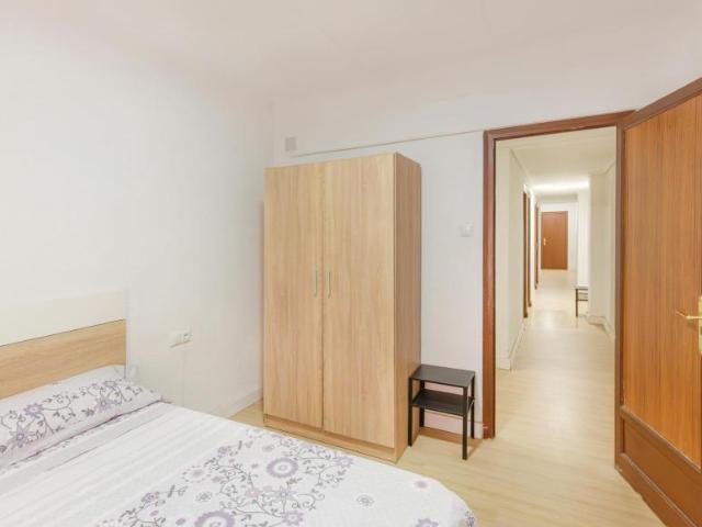 Alquiler 1 Dormitorio Shared Living/Roommate Elche Elche DLS100714154