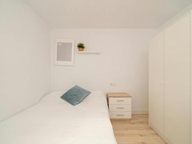 Alquiler 1 Dormitorio Shared Living/Roommate Elche Elche DLS100723754