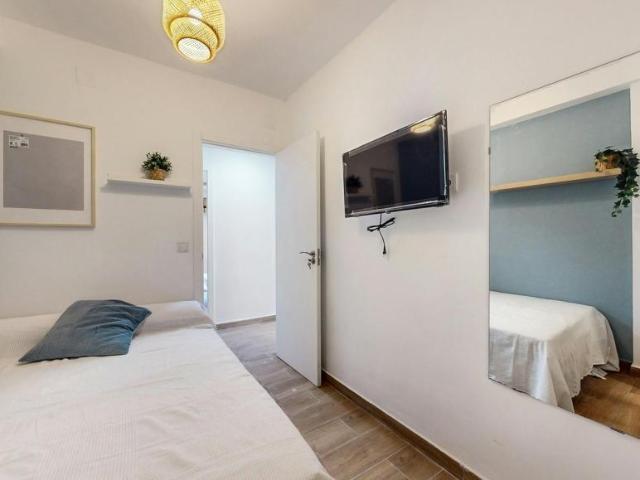 Alquiler 1 Dormitorio Shared Living/Roommate Elche Elche DLS100724479