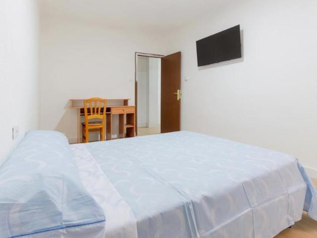 Alquiler 1 Dormitorio Shared Living/Roommate Elche Elche DLS102114470