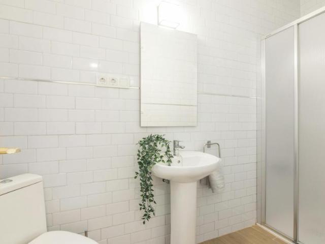 Alquiler 1 Dormitorio Shared Living/Roommate Elche Elche DLS102703235