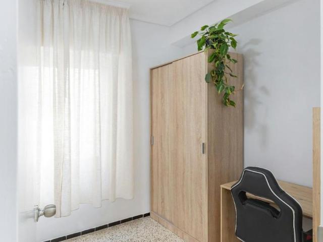 Alquiler 1 Dormitorio Shared Living/Roommate Elche Elche DLS102850602