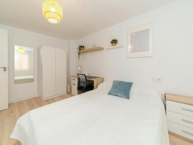 Alquiler 1 Dormitorio Shared Living/Roommate Elche Elche DLS102854157