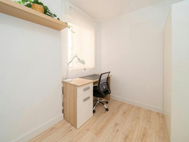 Alquiler 1 Dormitorio Shared Living/Roommate Elche Elche DLS102854155