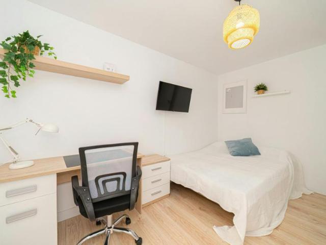 Alquiler 1 Dormitorio Shared Living/Roommate Elche Elche DLS102854156