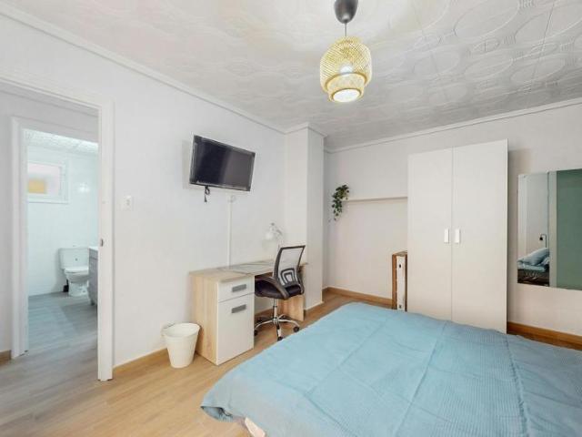 Alquiler 1 Dormitorio Shared Living/Roommate Elche Elche DLS102854521