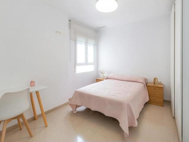 Alquiler 1 Dormitorio Shared Living/Roommate Elche Elche DS104796157