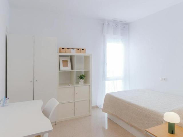 Alquiler 1 Dormitorio Shared Living/Roommate Elche Elche DS104796165