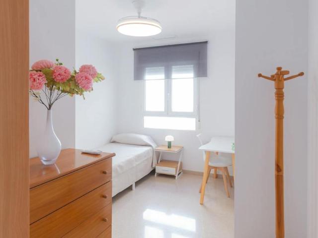 Alquiler 1 Dormitorio Shared Living/Roommate Elche Elche DS104796161