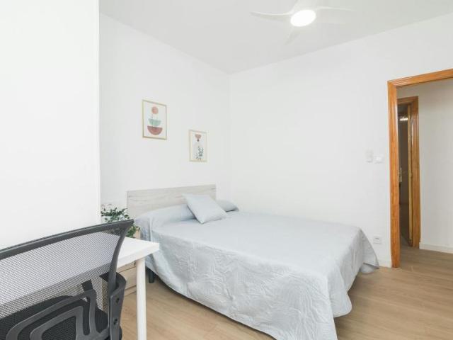 Alquiler 1 Dormitorio Shared Living/Roommate Elche Elche DS104796469