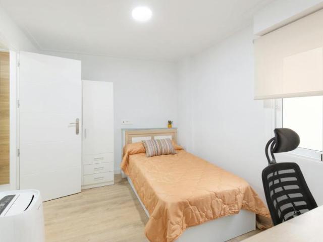 Alquiler 1 Dormitorio Shared Living/Roommate Elche Elche DS100722829