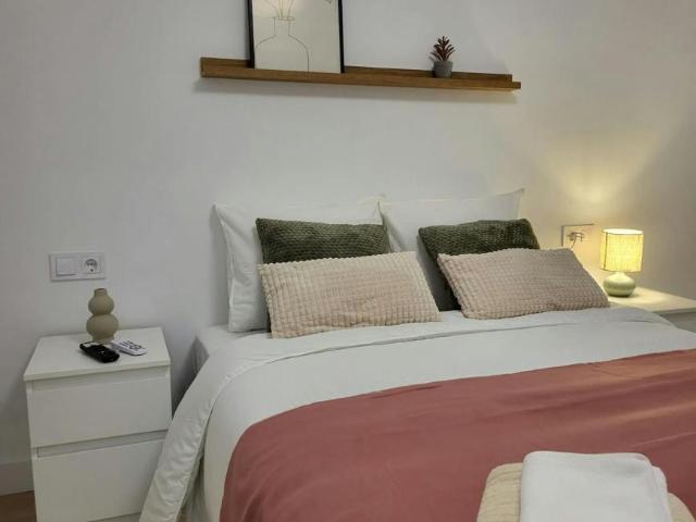 Alquiler 1 Dormitorio Shared Living/Roommate Elche Elche DS103396708