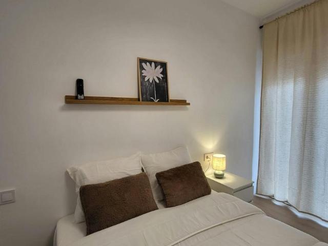 Alquiler 1 Dormitorio Shared Living/Roommate Elche Elche DS103396710