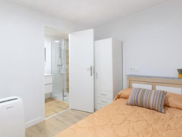 Alquiler 1 Dormitorio Shared Living/Roommate Elche Elche DS92130362