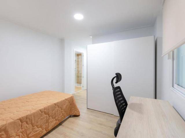 Alquiler 1 Dormitorio Shared Living/Roommate Elche Elche DS92130363
