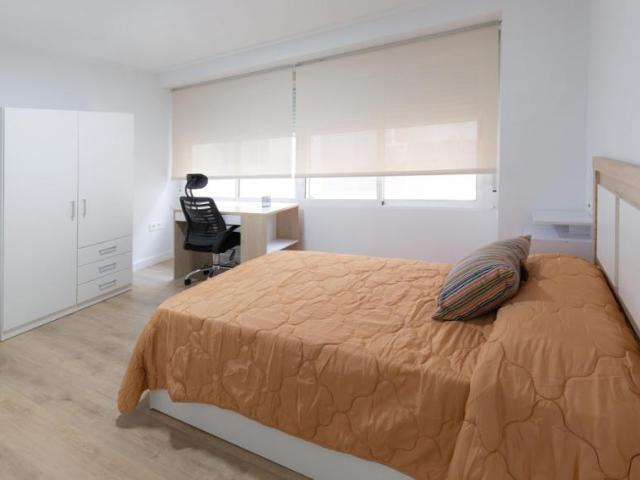 Alquiler 1 Dormitorio Shared Living/Roommate Elche Elche DS92130365