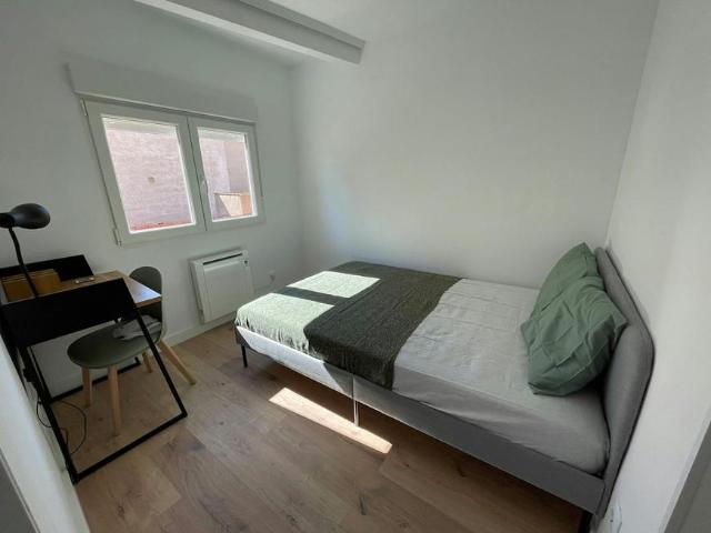 Alquiler 1 Dormitorio Shared Living/Roommate Guadalajara Guadalajara DLS102854748