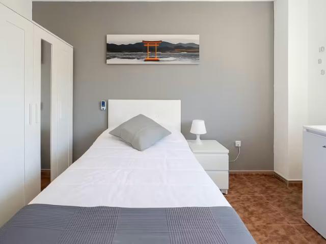 Alquiler 1 Dormitorio Shared Living/Roommate Guadalajara Guadalajara DS97382688