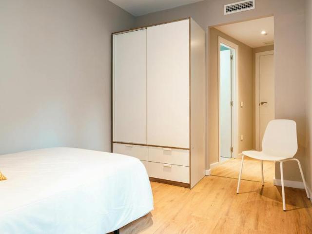 Alquiler 1 Dormitorio Shared Living/Roommate Getafe Getafe DLS100725450