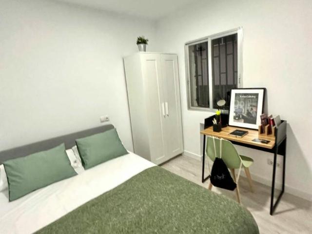 Alquiler 1 Dormitorio Shared Living/Roommate Getafe Getafe DLS100726653