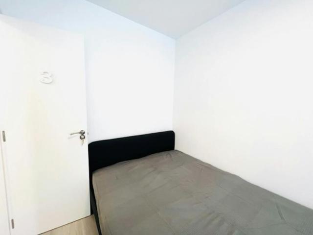 Alquiler 1 Dormitorio Shared Living/Roommate Getafe Getafe DLS100721718