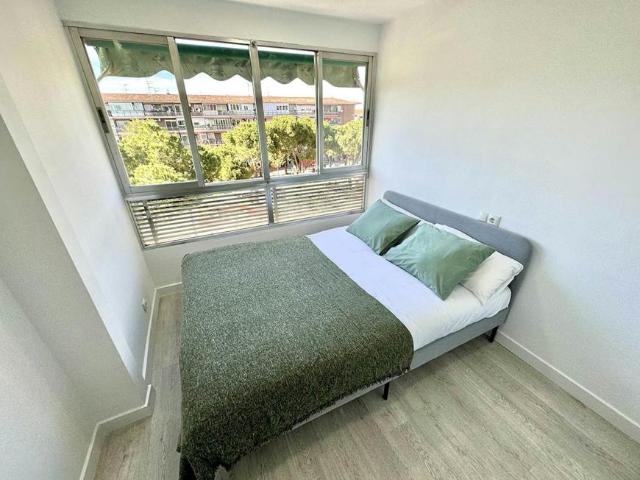 Alquiler 1 Dormitorio Shared Living/Roommate Getafe Getafe DLS101793058