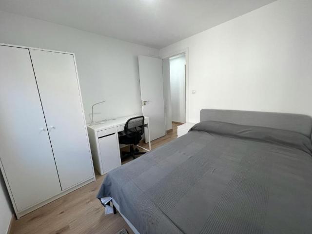 Alquiler 1 Dormitorio Shared Living/Roommate Getafe Getafe DLS99048500