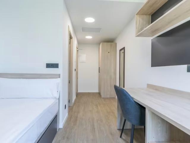 Alquiler 1 Dormitorio Shared Living/Roommate Getafe Getafe DS98540337