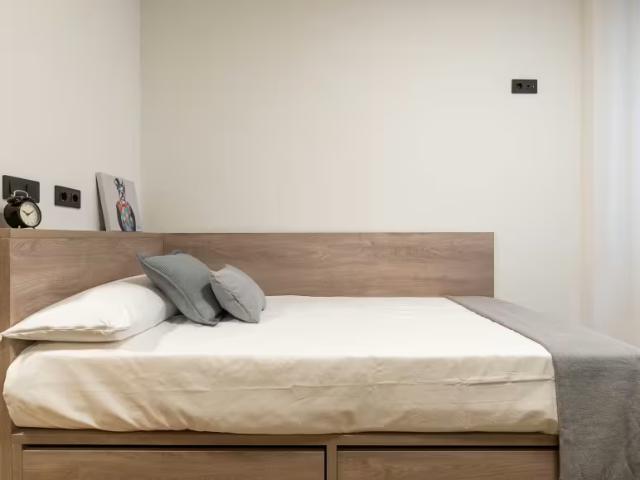 Alquiler 1 Dormitorio Shared Living/Roommate Getafe Getafe DS98540509