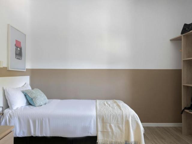 Alquiler 1 Dormitorio Shared Living/Roommate Getafe Getafe DS99689447