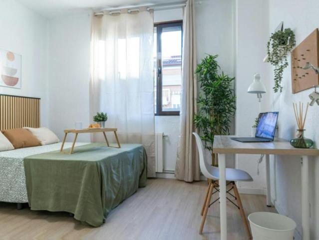 Alquiler 1 Dormitorio Shared Living/Roommate Getafe Getafe DS99766589