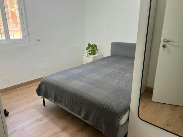 Alquiler 1 Dormitorio Shared Living/Roommate Getafe Getafe DS100725472