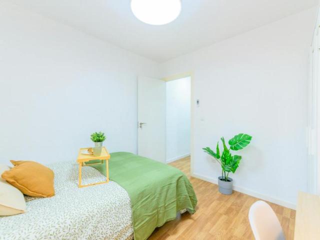 Alquiler 1 Dormitorio Shared Living/Roommate Getafe Getafe DS102630218