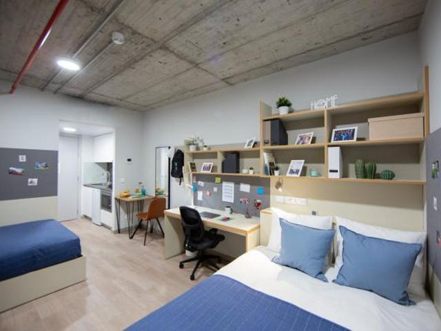 Alquiler 1 Dormitorio Shared Living/Roommate Granada Granada DLS65787275