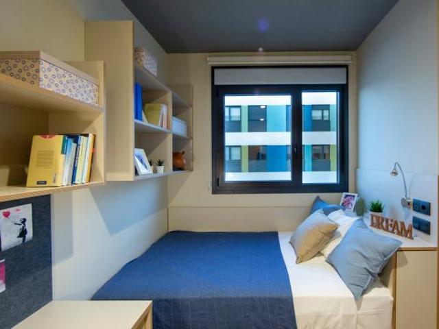 Alquiler 1 Dormitorio Shared Living/Roommate Granada Granada DLS65787446
