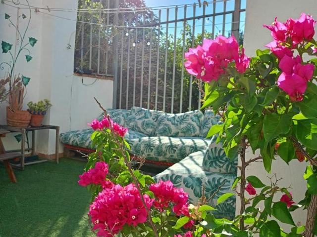 Alquiler 1 Dormitorio Shared Living/Roommate Granada Granada DLS95112831