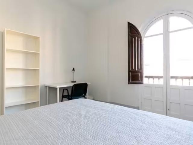 Alquiler 1 Dormitorio Shared Living/Roommate Granada Granada DLS95925642