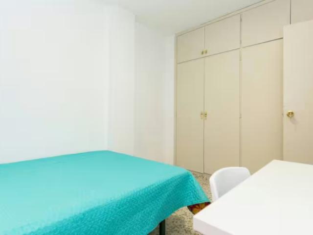 Alquiler 1 Dormitorio Shared Living/Roommate Granada Granada DLS96744016