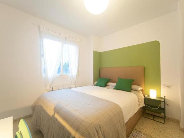 Alquiler 1 Dormitorio Shared Living/Roommate Granada Granada DLS99684729
