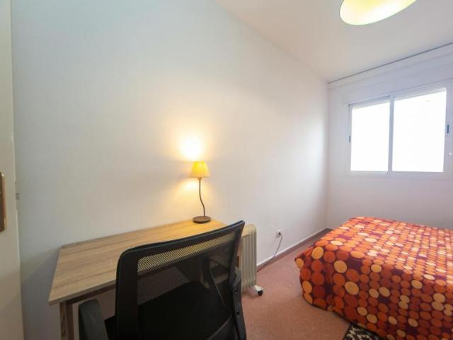 Alquiler 1 Dormitorio Shared Living/Roommate Granada Granada DLS101838873